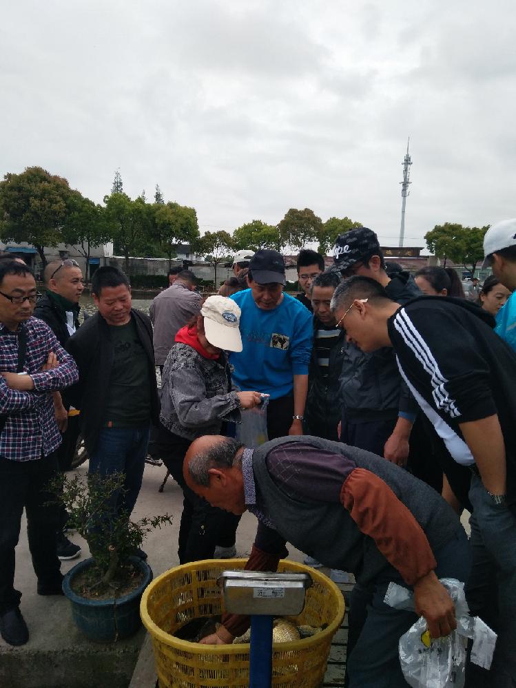 万盈娱乐www下载网址